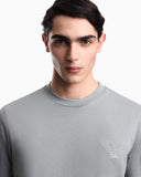 Slim-fit heavy jersey T-shirt with domed eagle