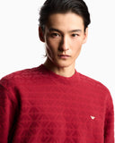 Lunar New Year double-jersey sweatshirt with all-over flocked eagles